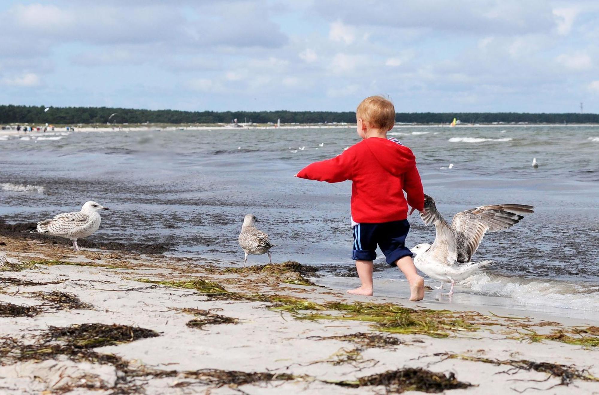 Strand Zingst Kültér fotó